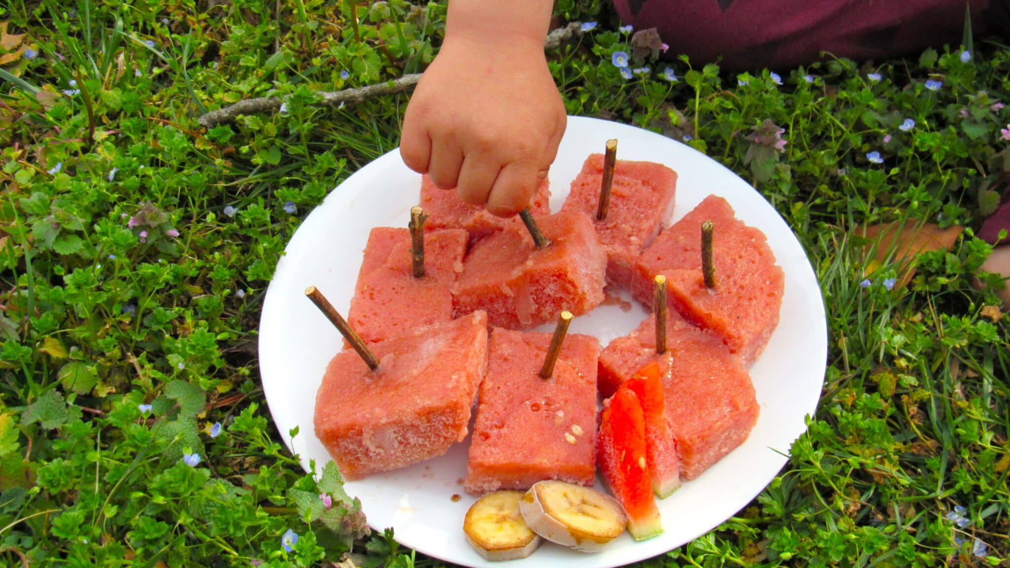 Watermelon popsicles are served on a white plate, and a hand picks one popsicle.