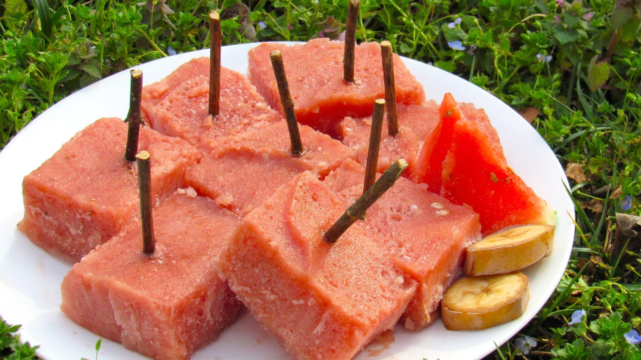 Watermelon popsicles are served on a white plate outside.