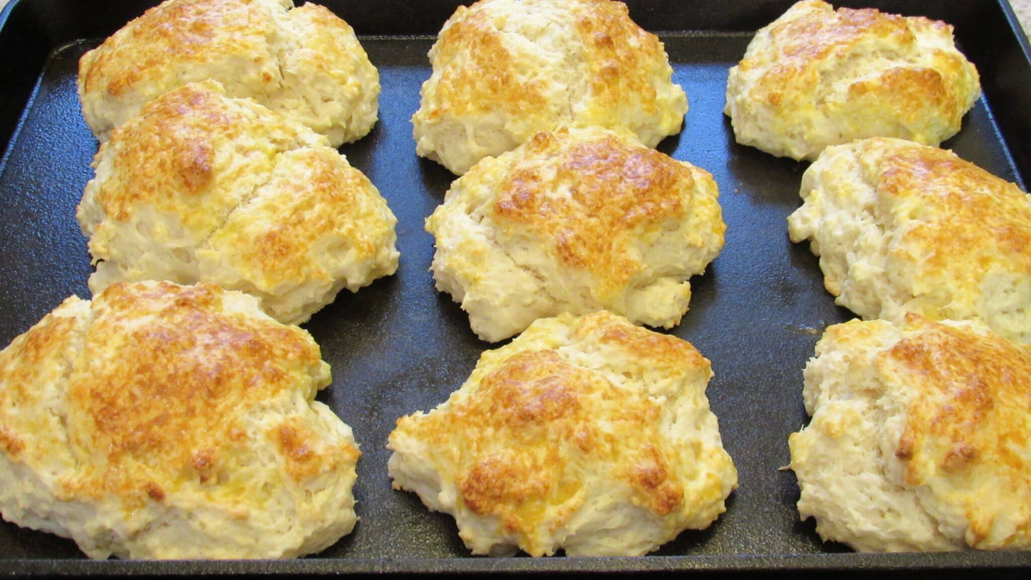 Nine pieces of biscuits without milk  were baked on a cast-iron sheet pan.